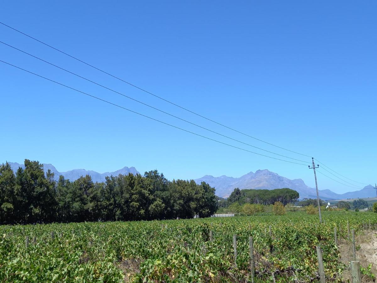 Rouana Guest Farm Hotell Stellenbosch Exteriör bild
