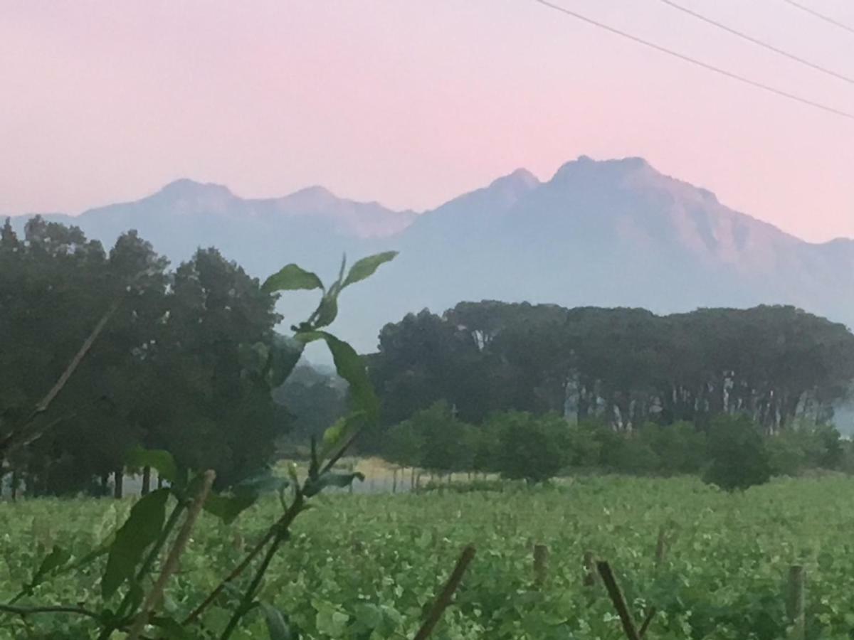 Rouana Guest Farm Hotell Stellenbosch Exteriör bild