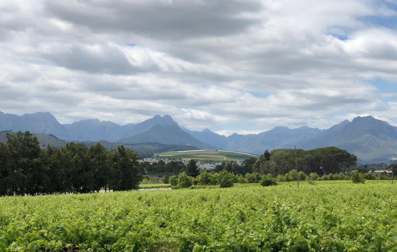Rouana Guest Farm Hotell Stellenbosch Exteriör bild